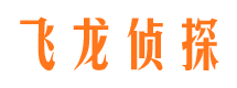 沙洋调查事务所